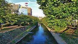IMG_3856.JPG