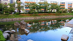 IMG_3876.JPG