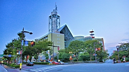 IMG_3903.JPG