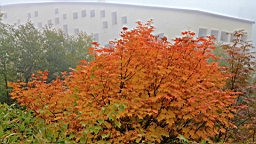 IMG_3947.JPG