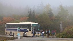 IMG_3948.JPG