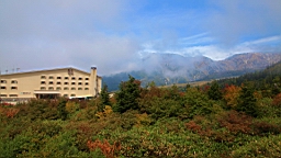 IMG_3951.JPG