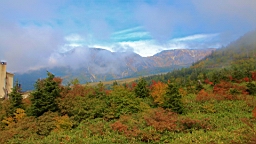 IMG_3953.JPG