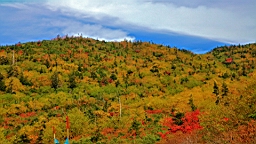 IMG_3964.JPG