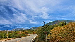 IMG_3965.JPG