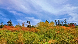 IMG_3972.JPG