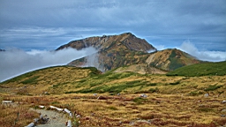 IMG_3984.JPG