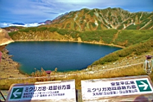 IMG_3987.jpg