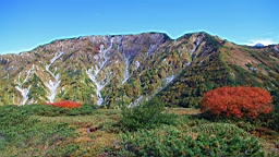 IMG_4276.JPG
