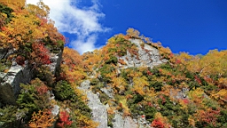 IMG_4319.JPG