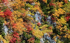 IMG_4329.JPG