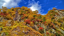IMG_4330.jpg
