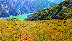 IMG_4361.JPG
