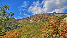 IMG_4373.JPG
