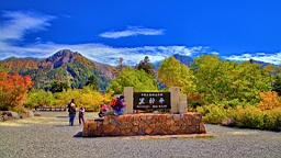 IMG_4378.jpg