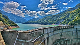 IMG_4440.JPG