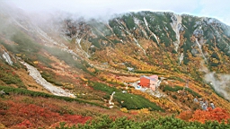 IMG_4585.JPG