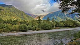 IMG_4617.jpg