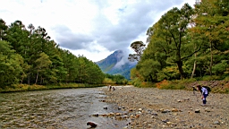 IMG_4637.jpg