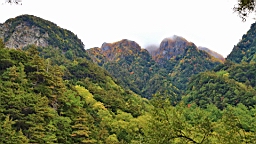 IMG_4646.jpg