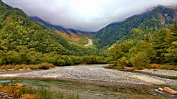 IMG_4650.jpg