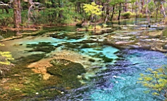 IMG_4663.jpg