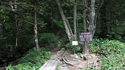 IMG_4665.jpg