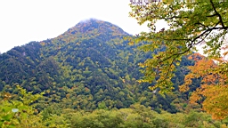 IMG_4670.jpg
