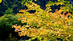 IMG_4673.jpg