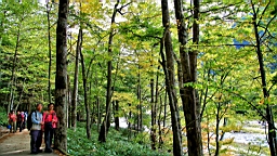 IMG_4674.jpg