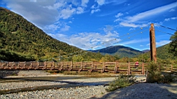 IMG_4742.jpg