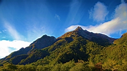 IMG_4746.jpg