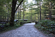 IMG_4762.jpg
