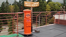 DSC00192.JPG