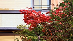 IMG_4786.jpg
