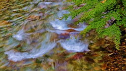 IMG_4791.jpg