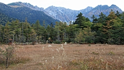 IMG_4797.jpg
