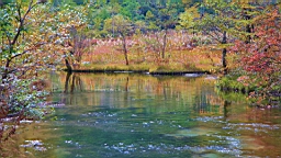 IMG_4798.jpg