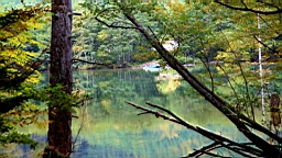 IMG_4805.jpg