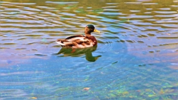 IMG_4815.jpg