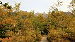 IMG_4849.jpg