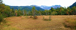 IMG_4851M.jpg