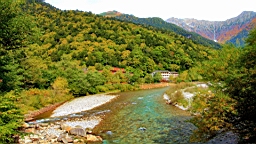 IMG_4858.jpg