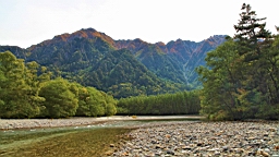 IMG_4865.jpg