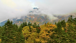 IMG_4873.jpg