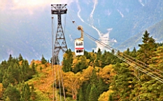 IMG_4875.jpg