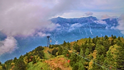 IMG_4876.jpg
