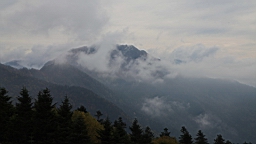 IMG_4881.jpg