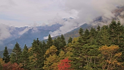 IMG_4886.jpg