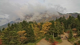 IMG_4887.jpg